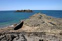 Bretagne (311)